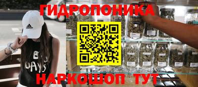 дмт Волжск