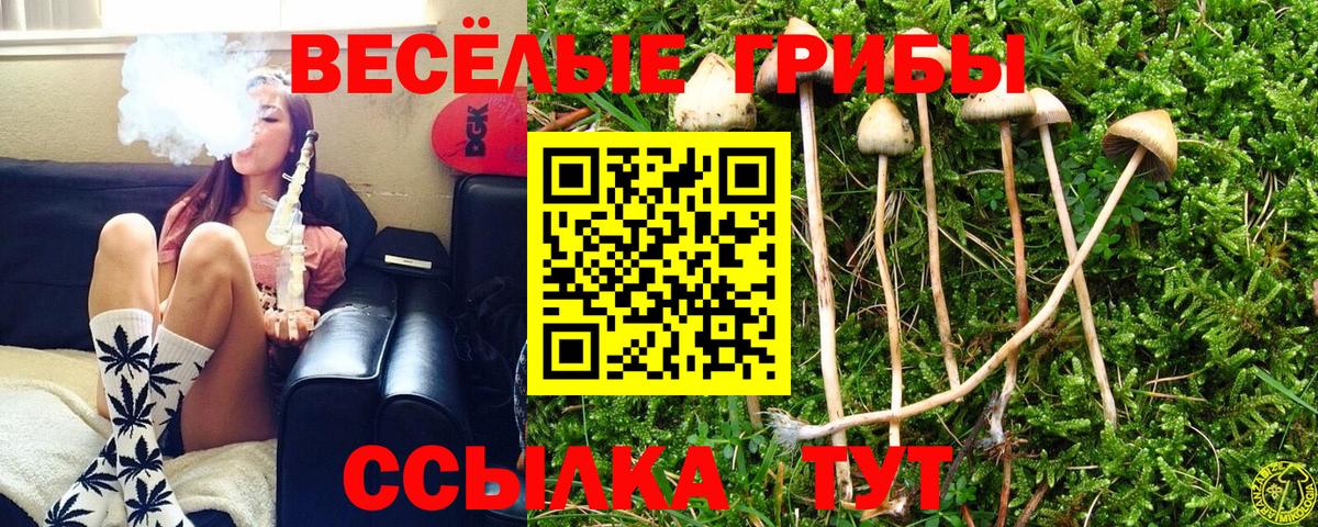 Нурлат  Галлюциногенные грибы Magic Shrooms  Галлюциногенные грибы мухоморы  Вход с VPN 